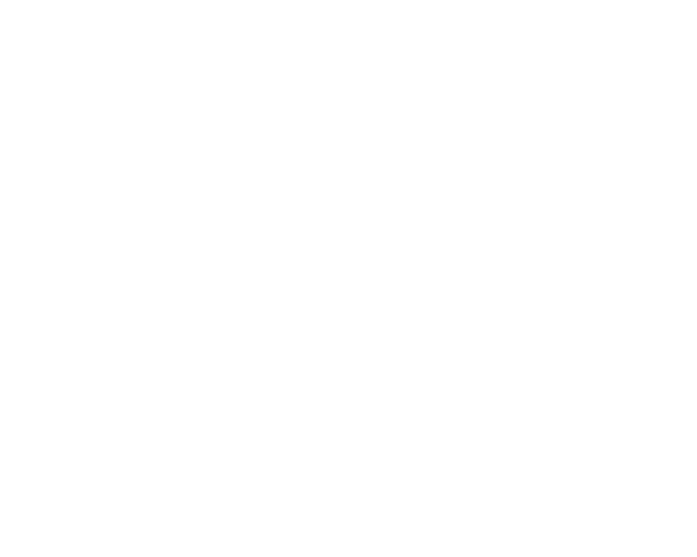 AirAsia client logo used by Oxydata